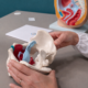 Le mani di una professionista mostrano un modello anatomico del bacino femminile; dietro, sul tavolo, un modello in sezione degli organi pelvici